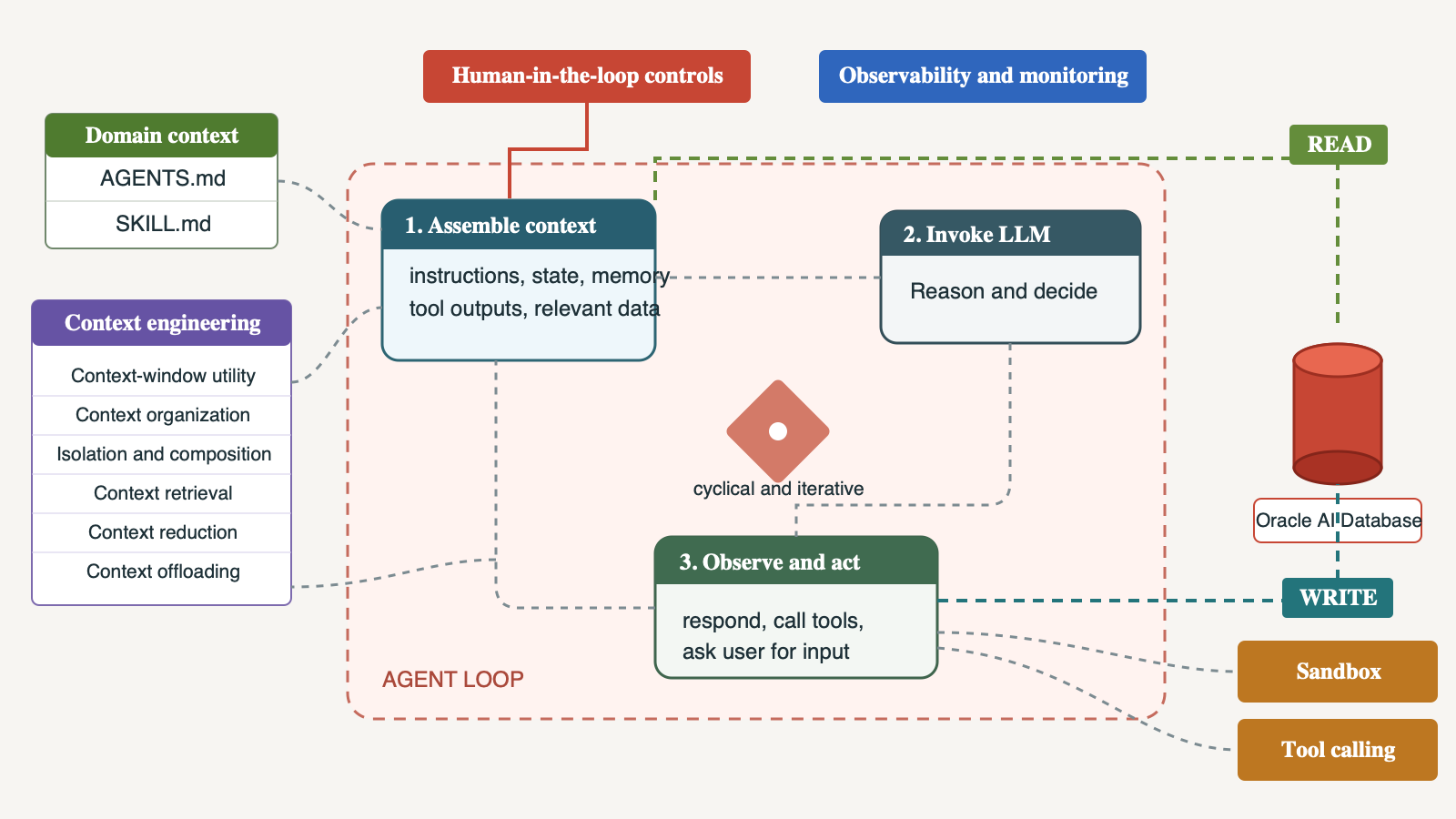 Architecture diagram showing an iterative agent loop that assembles context, invokes an LLM, and observes or acts. Domain context and context engineering feed the loop. Oracle AI Database supplies scoped memory through the read-before path and receives selected outcomes through the write-after path, with human controls, observability, sandboxing, and tool calling around the loop.